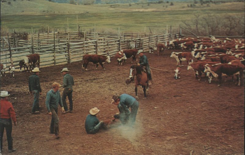 Branding Time, Cowboys and Cattle Free Lance Photographers Guild, Inc.