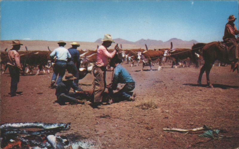 Round Up Time, Cowboys Branding Cattle R J M Cowboy Western