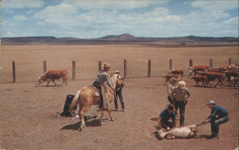 Cowboys Branding Calves in Corral Bob Taylor Cowboy Western