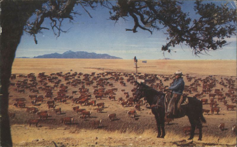 Ranch Hand Watching Hereford Cattle Herd Western Ways by R J