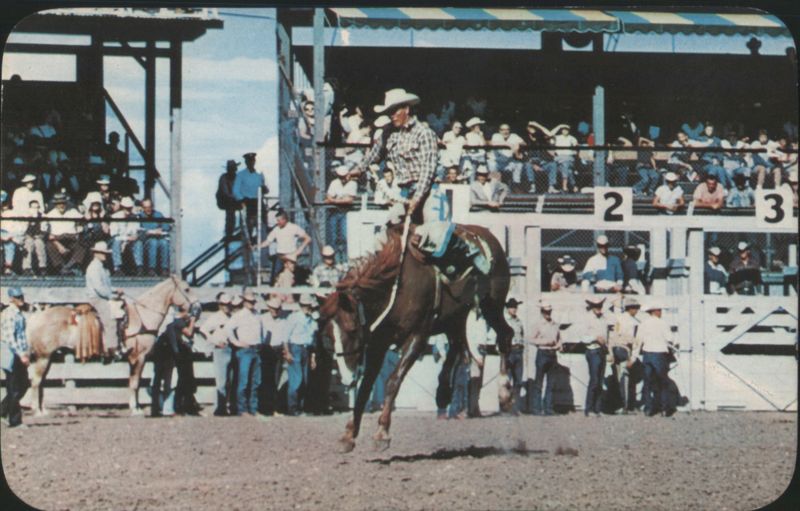 Rodeo Cowboy Riding Bucking Bronco Rodeos