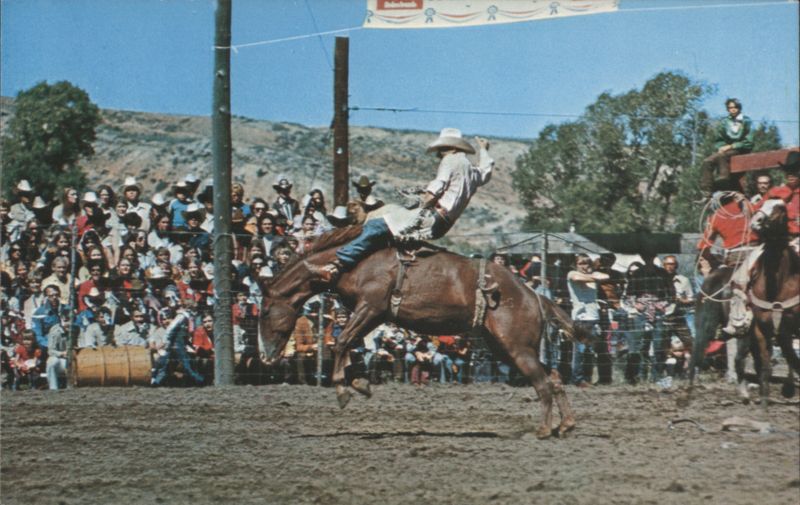 Western Rodeo, Bucking Bronco and Rider V. Arnold Smith