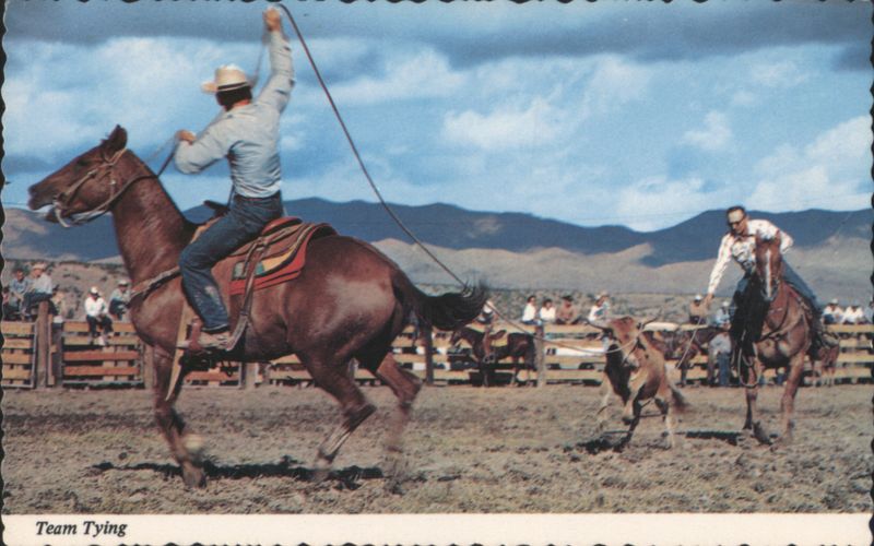 Team Tying Rodeo Event Rodeos