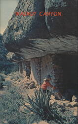 Walnut Canyon National Monument, Cliff Dwellings Postcard