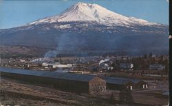 Mt. Shasta from Weed, California Postcard