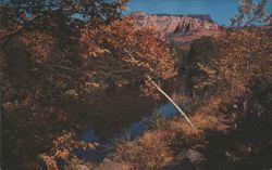 Oak Creek Canyon in Autumn, Arizona Postcard