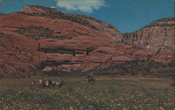 Cowboy Herding Cattle, Oak Creek Canyon, Arizona Postcard