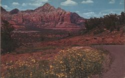 Oak Creek Canyon, Grey Mountain & Coffee Pot Rock, Arizona Postcard