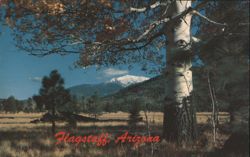 San Francisco Peaks, Flagstaff, Arizona Postcard