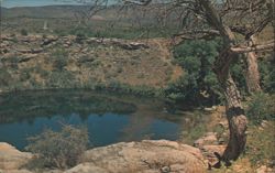 Montezuma Well, Camp Verde, Arizona Postcard