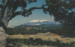 San Francisco Peaks & Alligator-Juniper, I-40, Arizona Postcard