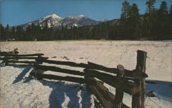 Snowy San Francisco Peaks, Flagstaff, Arizona Postcard