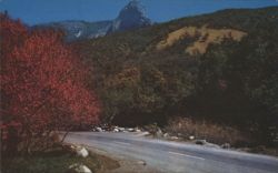 Highway 198 and Moro Rock, Sequoia National Park Postcard