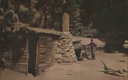 Tharp's Log, Sequoia National Park Postcard