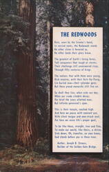 The Redwoods Poem by Joseph B. Strauss Postcard