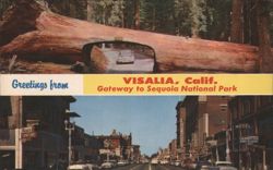 Visalia, CA & Sequoia National Park Tunnel Tree Postcard