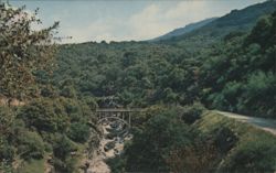 Highway to Mineral King, Bridge Over River Gorge Postcard