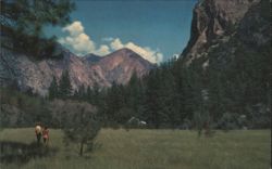 Zumwalt Meadows, Kings Canyon National Park, CA Postcard