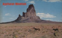 Agathalan Mountain, Monument Valley, with Horses Postcard