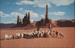 Navajo Women with Sheep, Monument Valley Postcard