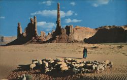 Navajo Sheep Herd, Northern Arizona Postcard