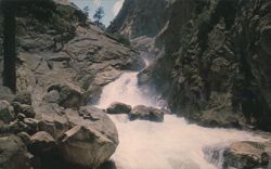 Roaring River Falls, Kings Canyon National Park Postcard