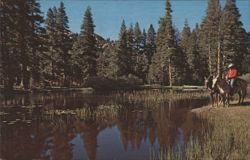 Fishing, Upper Piute Meadow, High Sierras, Tower Peak Postcard