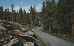 General's Highway, Sequoia & Kings Canyon National Parks Postcard