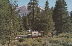 Campsite in the High Sierras, California Postcard