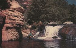 Landing the Big Ones, Oak Creek Canyon Postcard