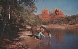Cowboy and Horse at Baldwin's Crossing, Oak Creek Canyon Postcard