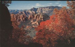 Oak Creek Canyon from Schnebly Hill, Arizona Postcard