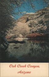 Oak Creek Canyon, Arizona, Snowy Scene Postcard