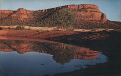 Oak Creek Canyon, Arizona, Red Rock Reflection Postcard