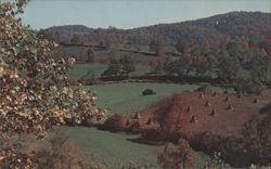 Autumn Along the Blue Ridge Parkway Postcard