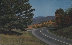 Autumn Scene on Skyline Drive, Virginia Postcard