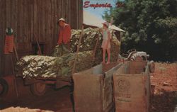 Filling Tobacco Barn, Emporia, VA Postcard