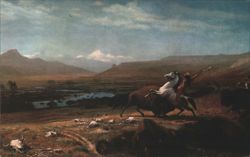 Last of the Buffalo by Albert Bierstadt, Western Art Postcard