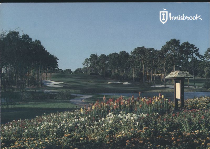 Innisbrook, 5th Hole Copperhead, Tarpon Springs, FL Florida