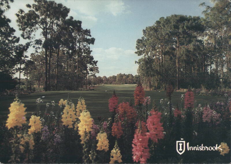 Innisbrook, Sandpiper #3 Course, 1st Hole Tarpon Springs Florida