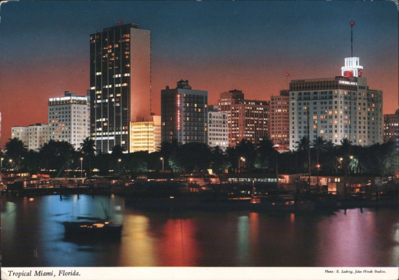 Tropical Miami, Florida Skyline at Night from Yacht Basin