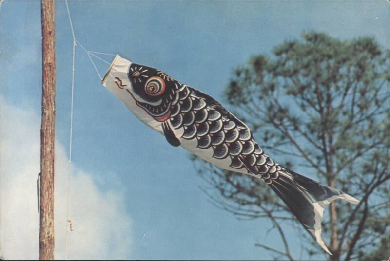 Japanese Fish Kite, Marco Polo Park, Florida Daytona Beach