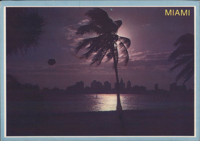 Moon Over Miami, Skyline and Biscayne Bay at Night Florida