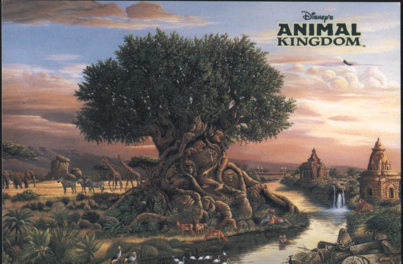 Disney's Animal Kingdom, Tree of Life Clive Kay