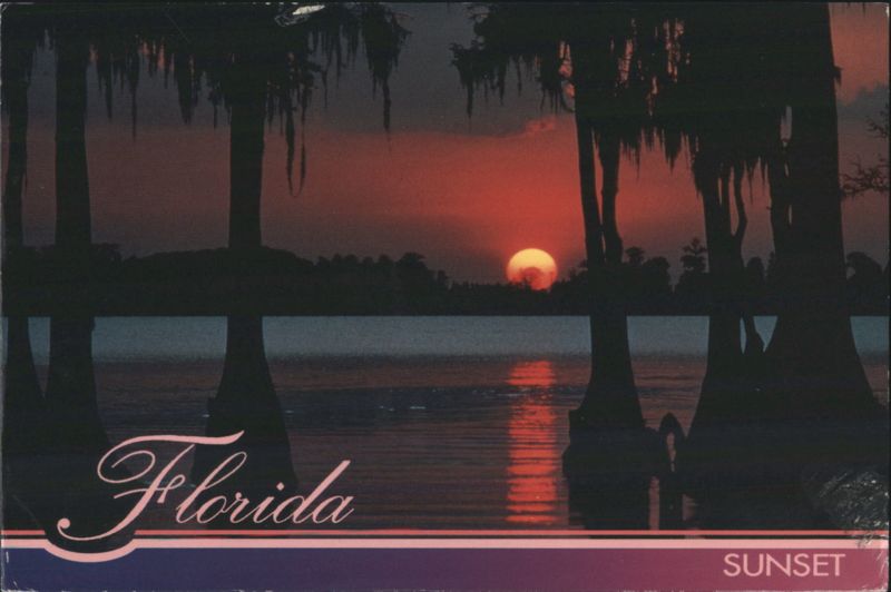 Florida Sunset, Cypress Trees & Spanish Moss