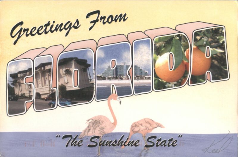 Greetings From FLORIDA, The Sunshine State, Flamingos