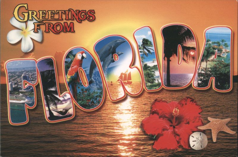 Greetings from Florida - Large Letter Scenic Views