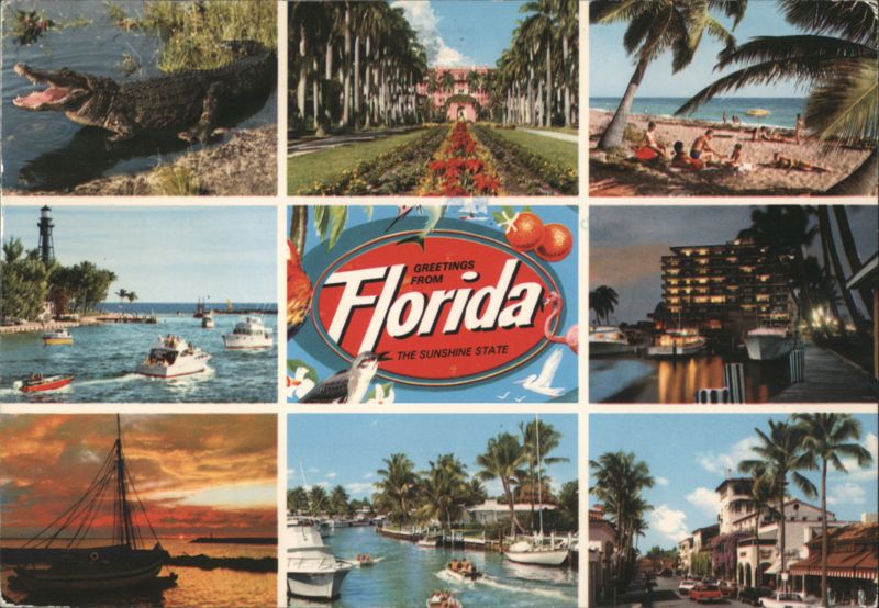 Greetings from Florida, The Sunshine State - Multi-view