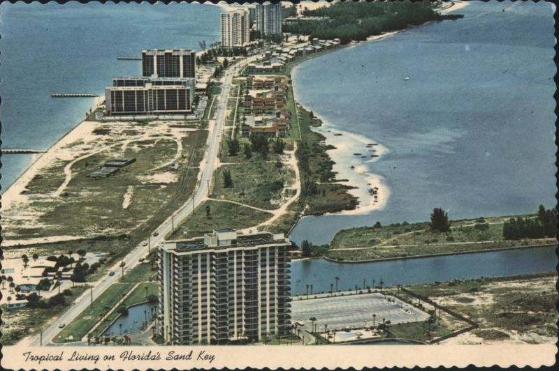 Tropical Living on Florida's Sand Key Clearwater D. STANFIELD