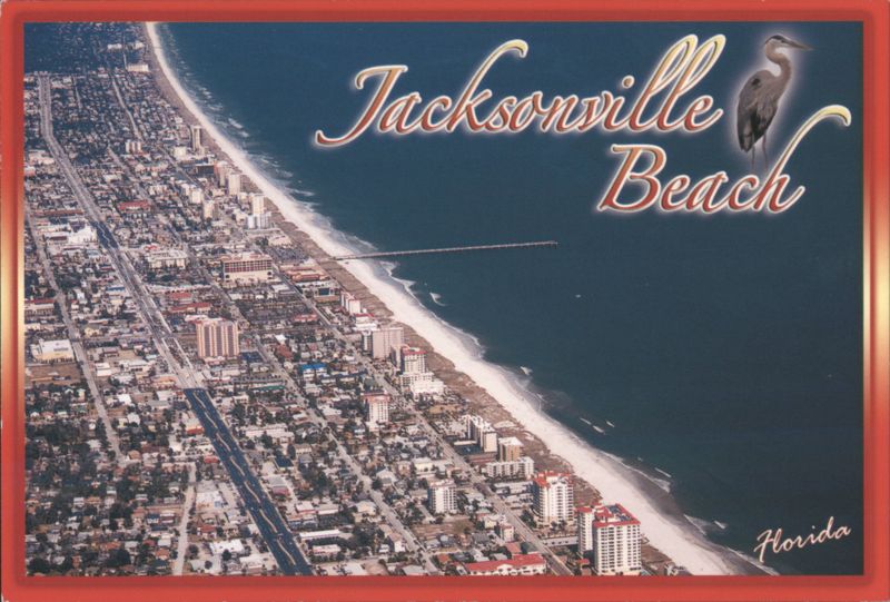 Jacksonville Beach, FL Aerial View with Pier & Heron Florida